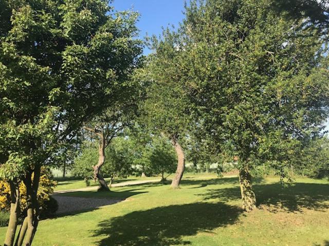 Dairy Barns Holiday Cottages Norwich Bagian luar foto